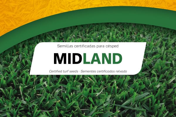 Semillas Midland Professional Mix