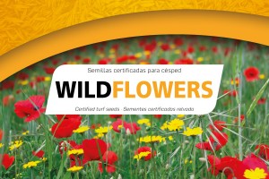 3718-imagen-semillas-wildflowers-logo