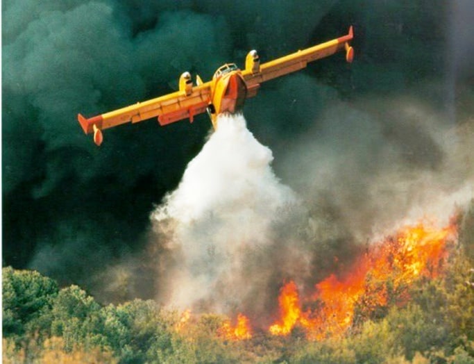 incendios_revegetación