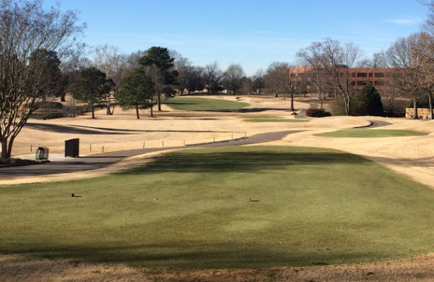 RESIEMBRAS DE OTOÑO SOBRE CÉSPED DE BERMUDA - Zulueta Corporación