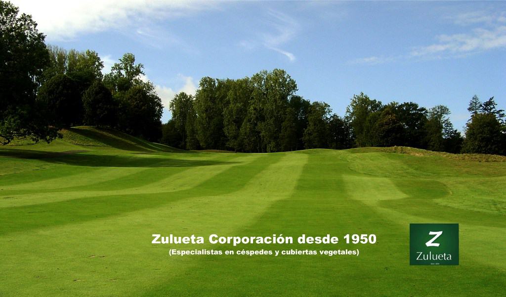 (c) Zulueta.com