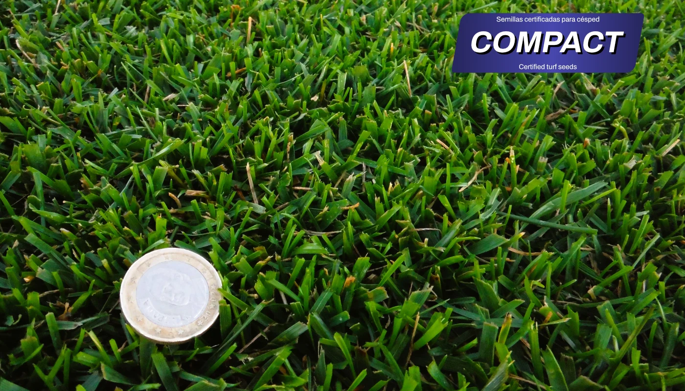 zulueta-mezclas-semillas-compact-detalle