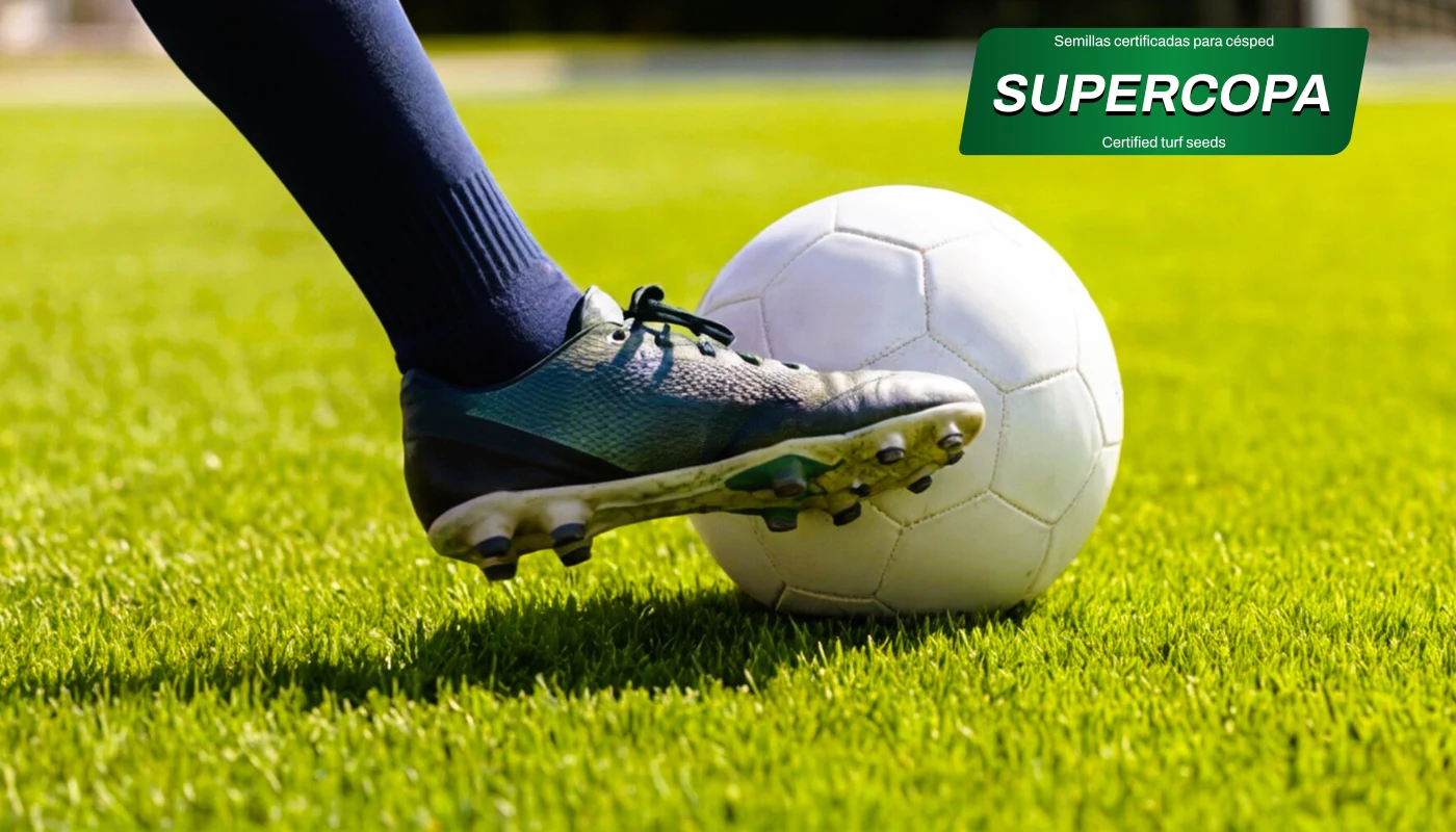 zulueta-mezclas-semillas-supercopa-detalle