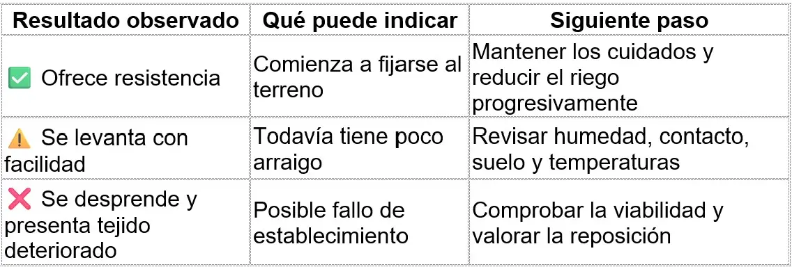 cuadro tepes no raiz cuadro tepes no raiz